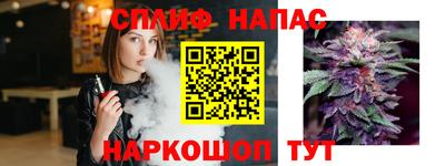мяу мяу мука Кандалакша