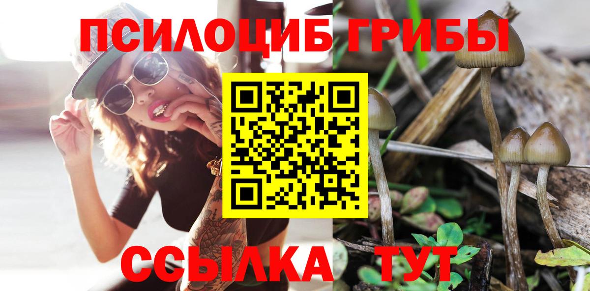 Кубинка  Галлюциногенные грибы прущие грибы  Вход с VPN 